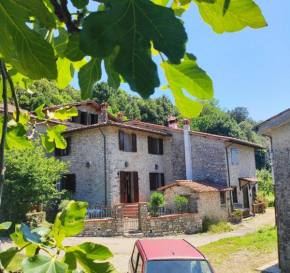 Cara House Tuscany
